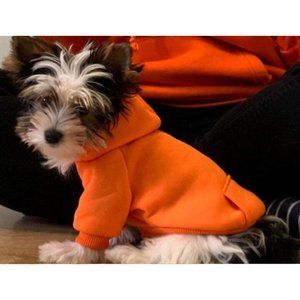 Dog hoodie - XS. Pull-over Orange hoodie with pocket. Lotus & Ladybug